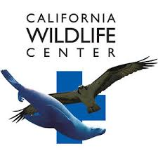 California Wildlife Center